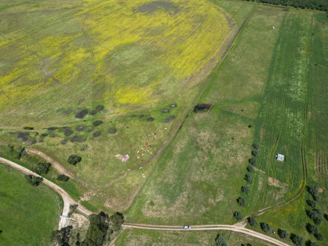 Terreno para Venda em Vale de Cavalos Foto 14