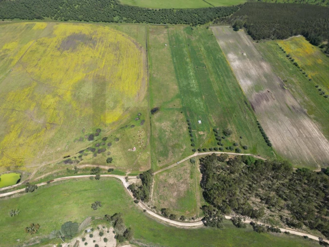 Terreno para Venda em Vale de Cavalos Foto 3