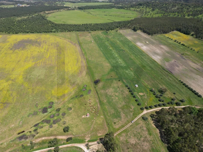Terreno para Venda em Vale de Cavalos Foto 6