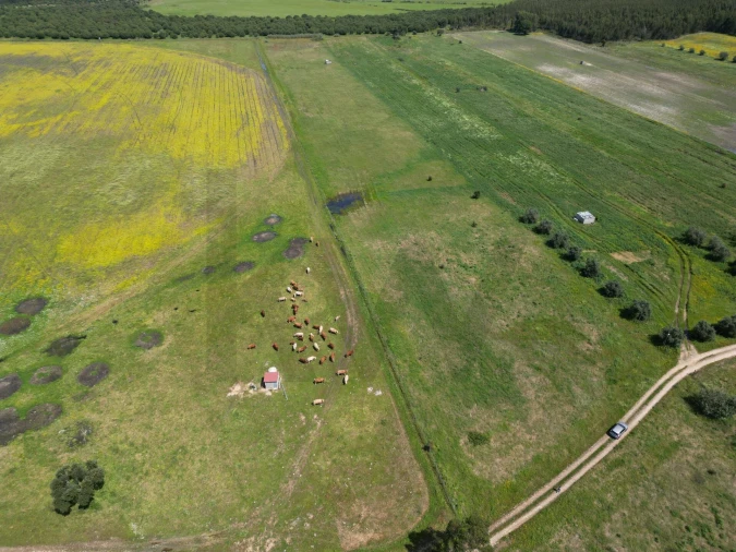 Terreno para Venda em Vale de Cavalos Foto 13