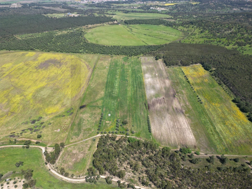 Terreno para Venda em Vale de Cavalos Foto 4