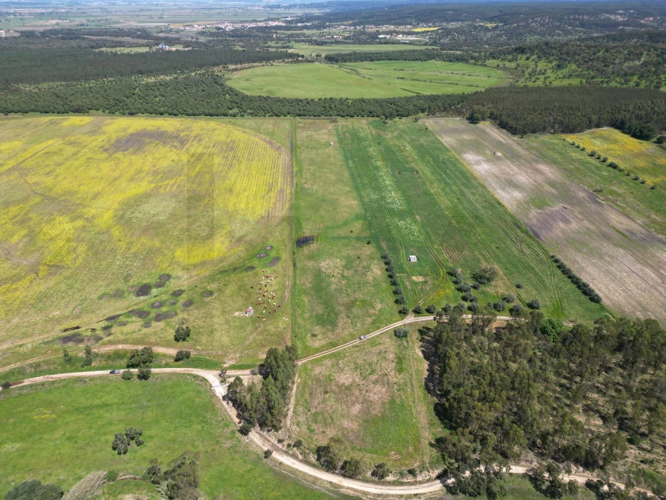 Terreno para Venda em Vale de Cavalos Foto 2