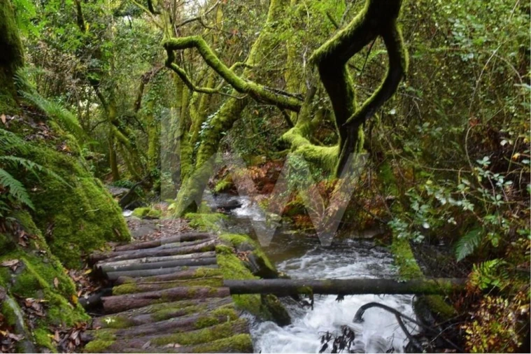 Moradia T3 para Venda em Miranda do Corvo Foto 14