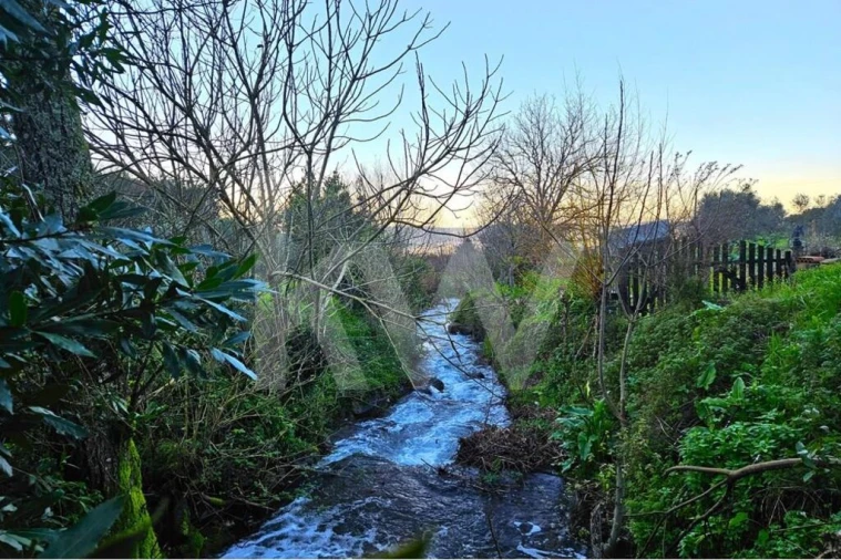 Moradia T3 para Venda em Miranda do Corvo Foto 13