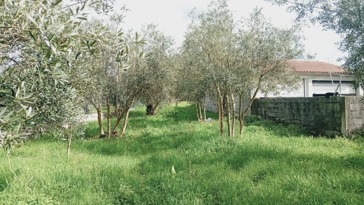 Terreno para Venda em Soure Foto 3