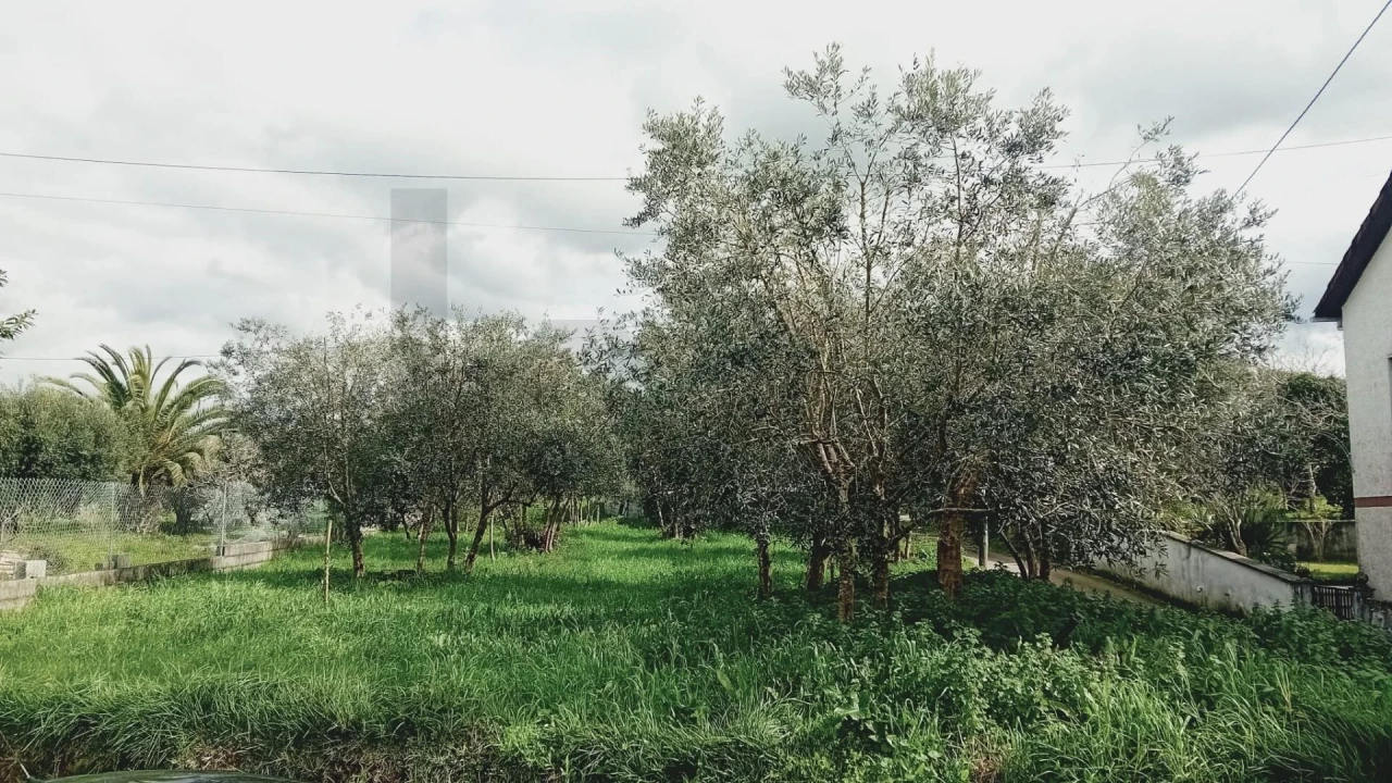 Terreno para Venda em Soure Foto 1