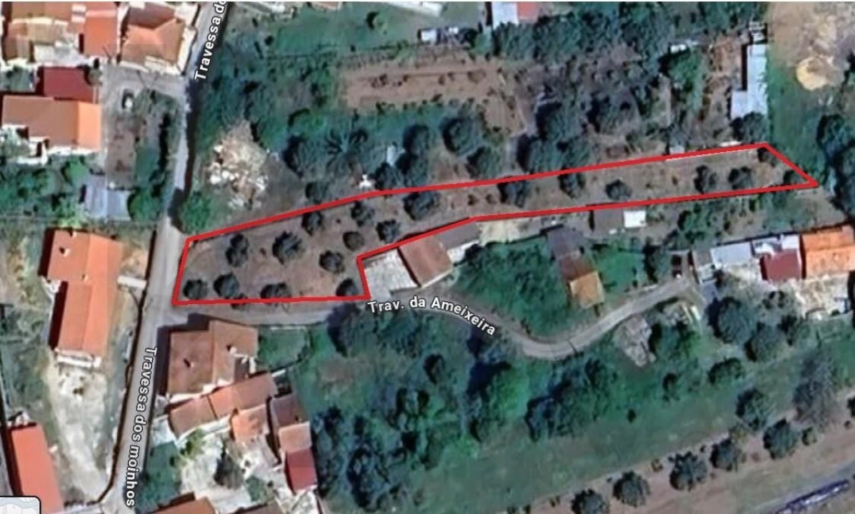 Terreno para Venda em Soure Foto 13
