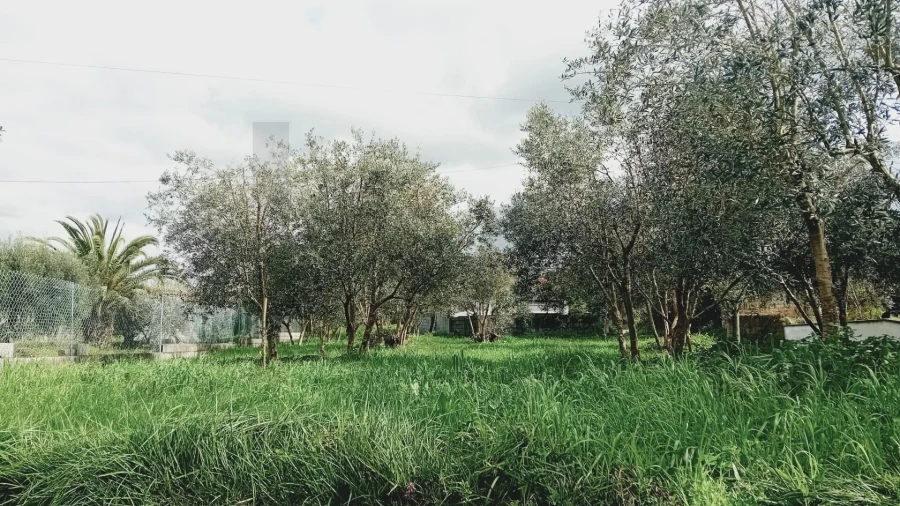 Terreno para Venda em Soure Foto 9