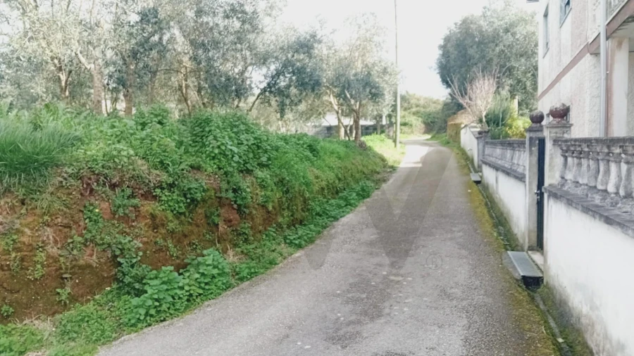 Terreno para Venda em Soure Foto 2