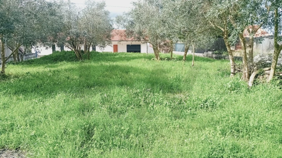 Terreno para Venda em Soure Foto 4
