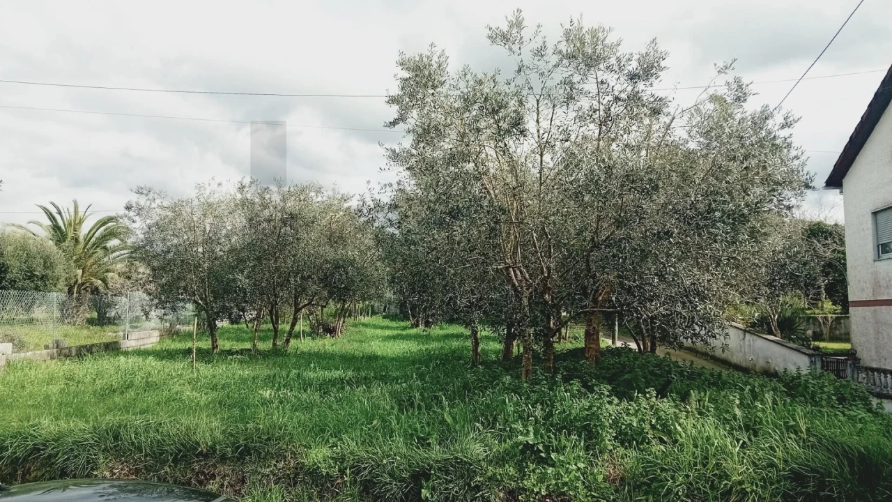 Terreno para Venda em Soure Foto 7