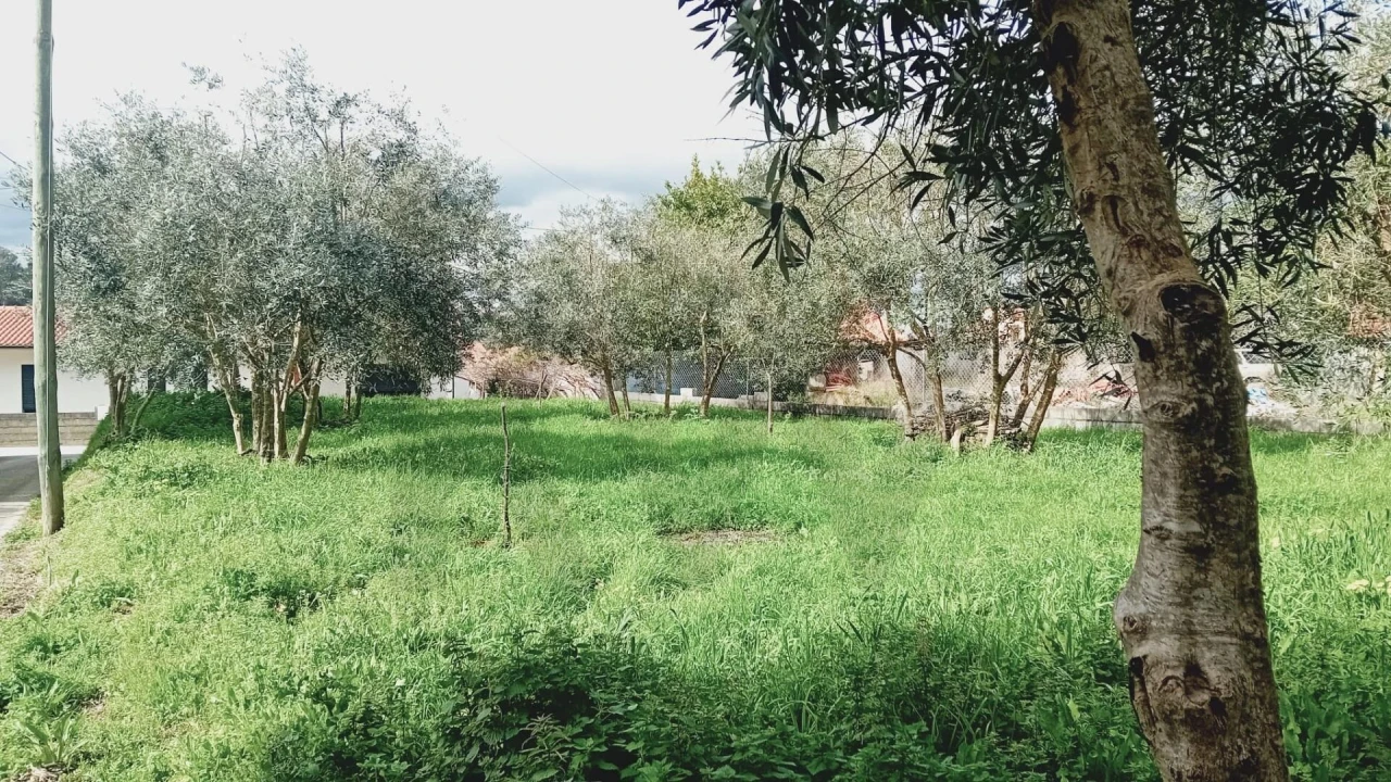 Terreno para Venda em Soure Foto 6