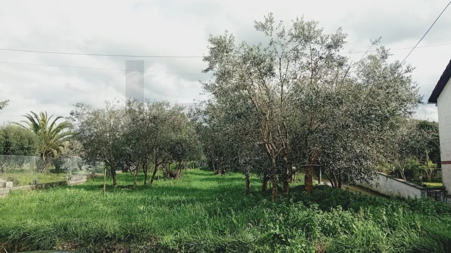 Terreno para Venda em Soure