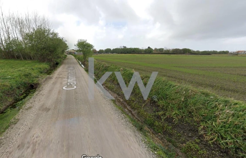 Terreno para Venda em Ílhavo (São Salvador) Foto 5