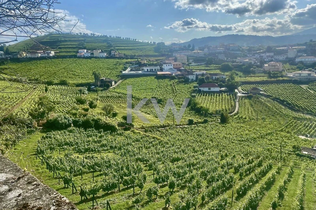 Quinta T5 para Venda em Lobrigos (São Miguel e São João Baptista) e Sanhoane Foto 24