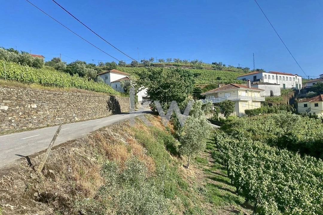 Quinta T5 para Venda em Lobrigos (São Miguel e São João Baptista) e Sanhoane Foto 23