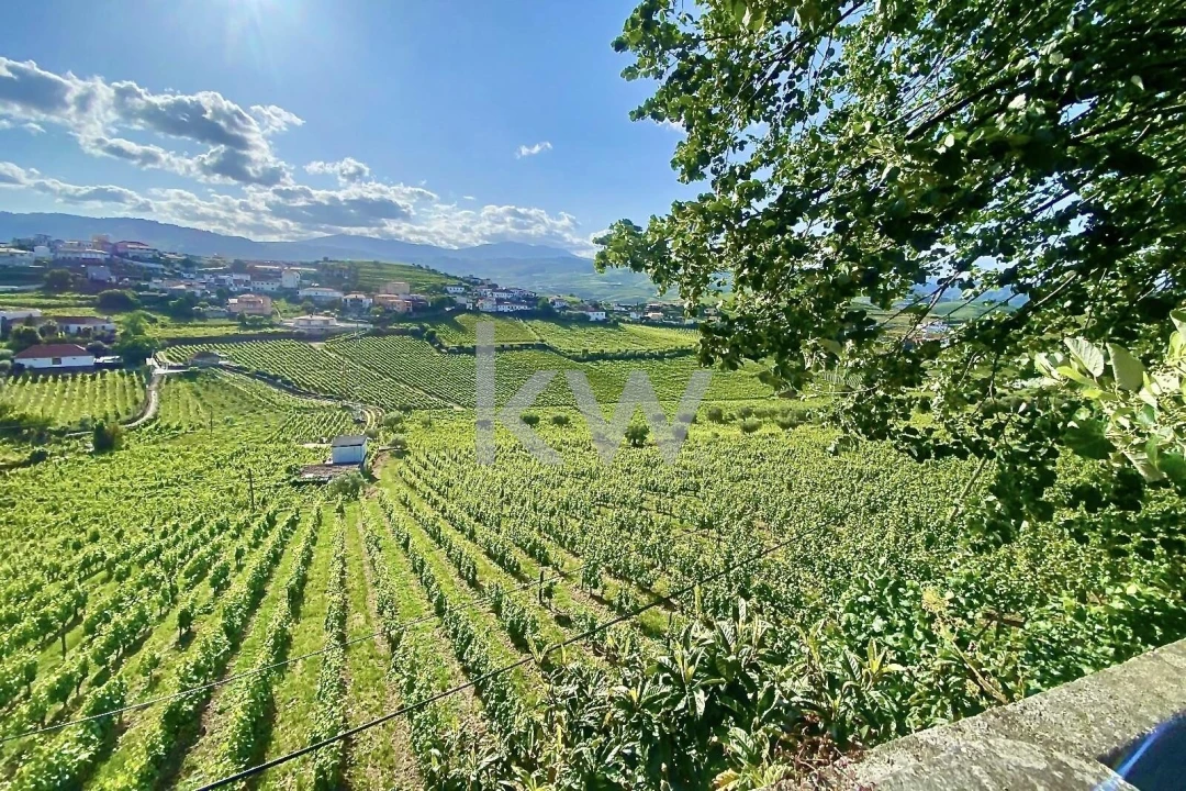 Quinta T5 para Venda em Lobrigos (São Miguel e São João Baptista) e Sanhoane Foto 22