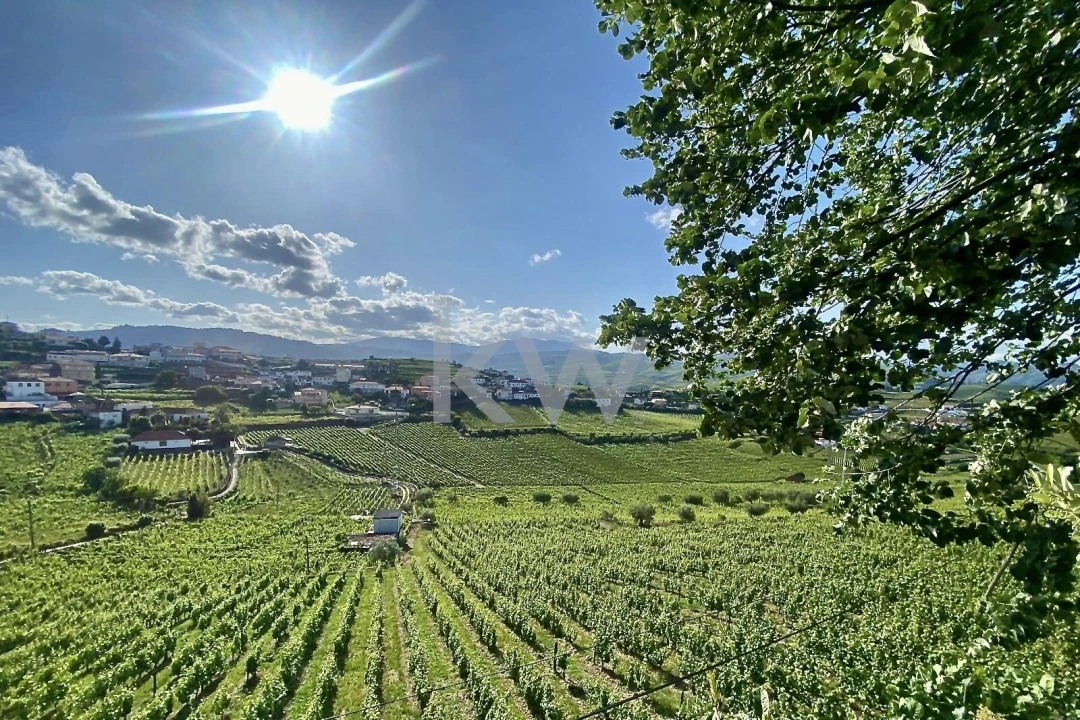 Quinta T5 para Venda em Lobrigos (São Miguel e São João Baptista) e Sanhoane Foto 20