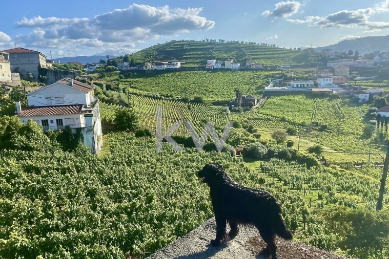 Quinta T5 para Venda em Lobrigos (São Miguel e São João Baptista) e Sanhoane Foto 5