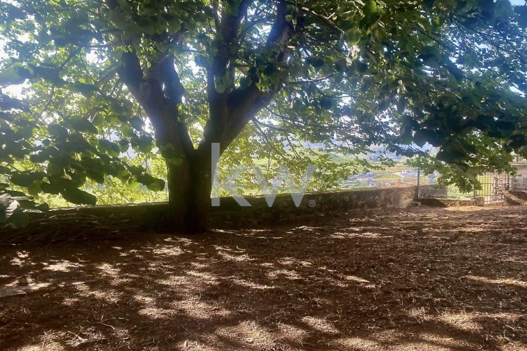 Quinta T5 para Venda em Lobrigos (São Miguel e São João Baptista) e Sanhoane Foto 19