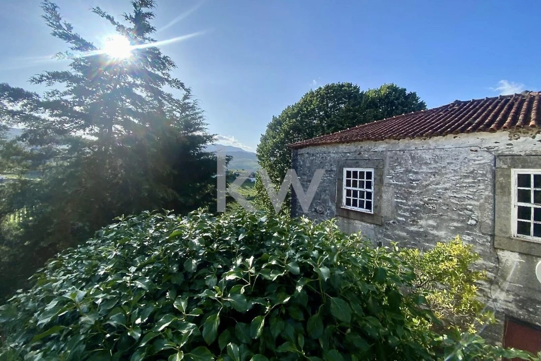 Quinta T5 para Venda em Lobrigos (São Miguel e São João Baptista) e Sanhoane Foto 3