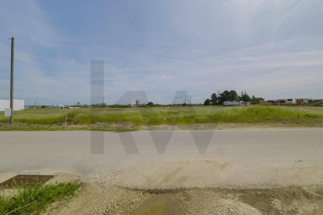 Terreno para Venda em Alpiarça Foto 4