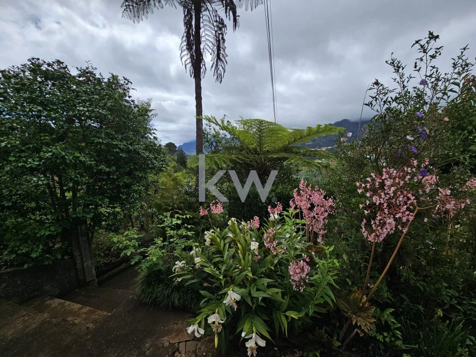 Moradia T3 para Venda em São Roque do Faial Foto 12