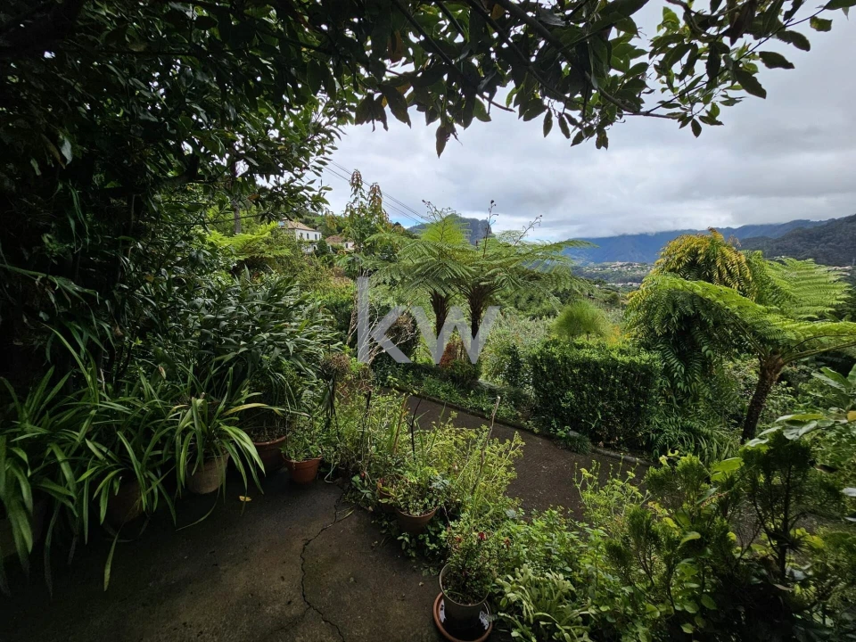 Moradia T3 para Venda em São Roque do Faial Foto 41