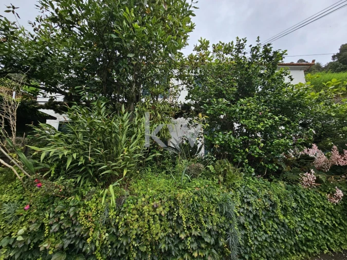 Moradia T3 para Venda em São Roque do Faial Foto 15