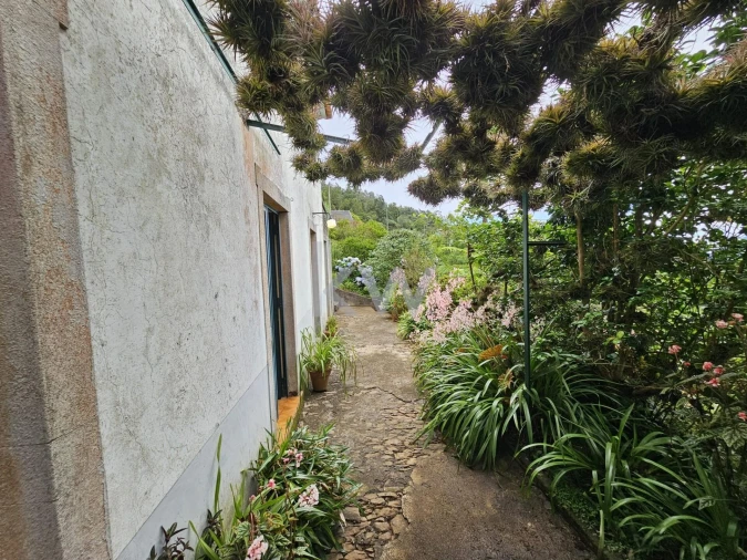 Moradia T3 para Venda em São Roque do Faial Foto 20