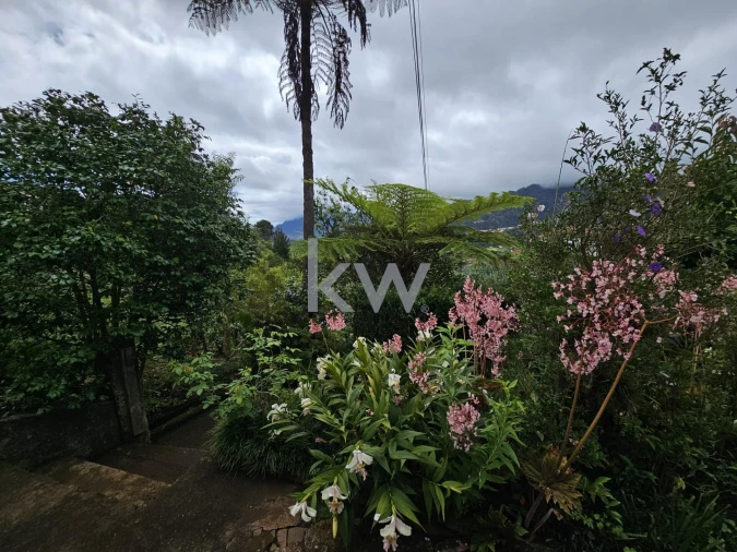 Moradia T3 para Venda em São Roque do Faial Foto 12