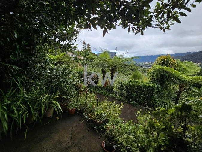 Moradia T3 para Venda em São Roque do Faial Foto 41