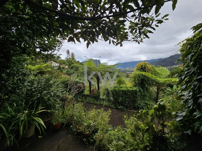 Moradia T3 para Venda em São Roque do Faial Foto 42