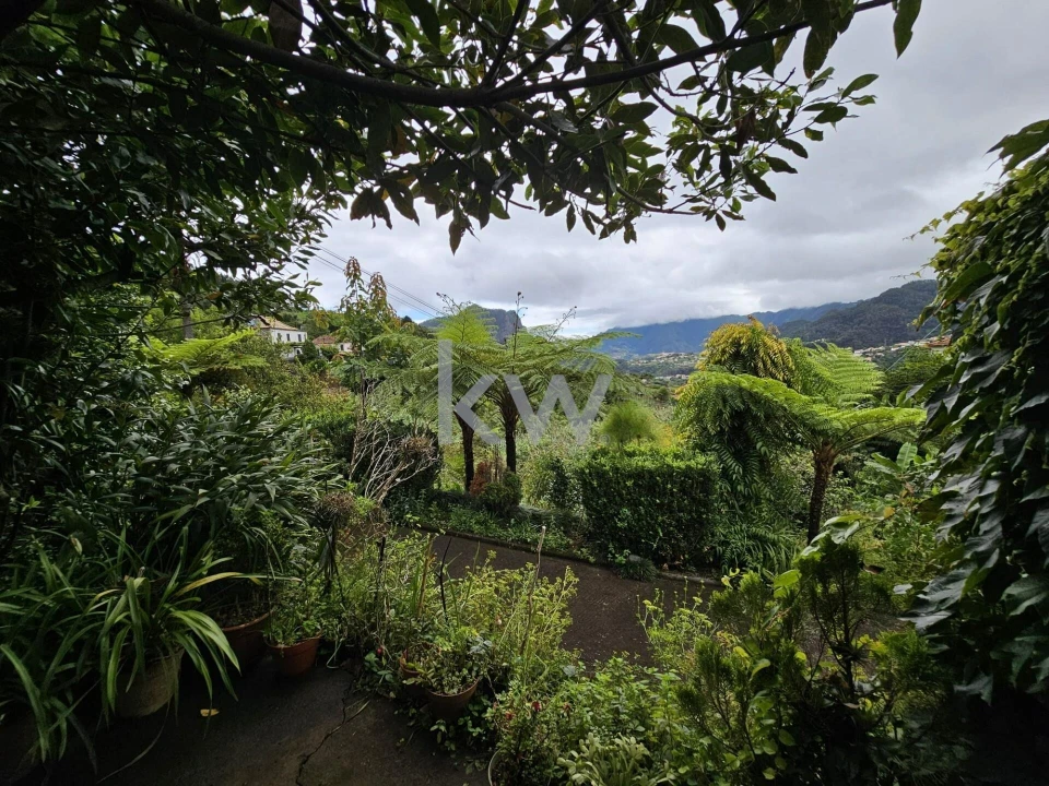 Moradia T3 para Venda em São Roque do Faial Foto 42