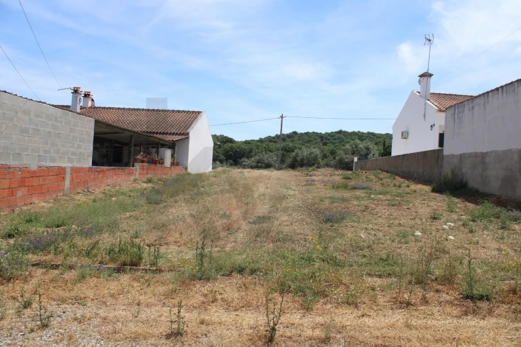 Terreno para Venda em São Manços e São Vicente do Pigeiro Foto 4