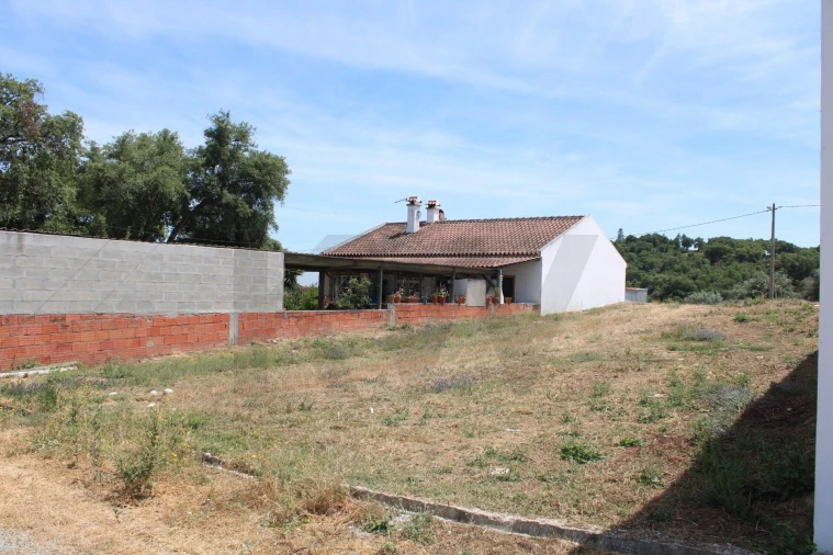 Terreno para Venda em São Manços e São Vicente do Pigeiro Foto 5