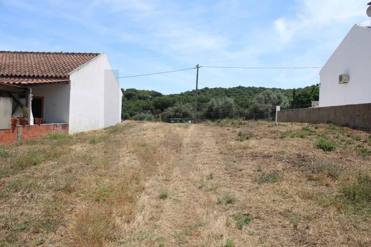 Terreno para Venda em São Manços e São Vicente do Pigeiro Foto 9