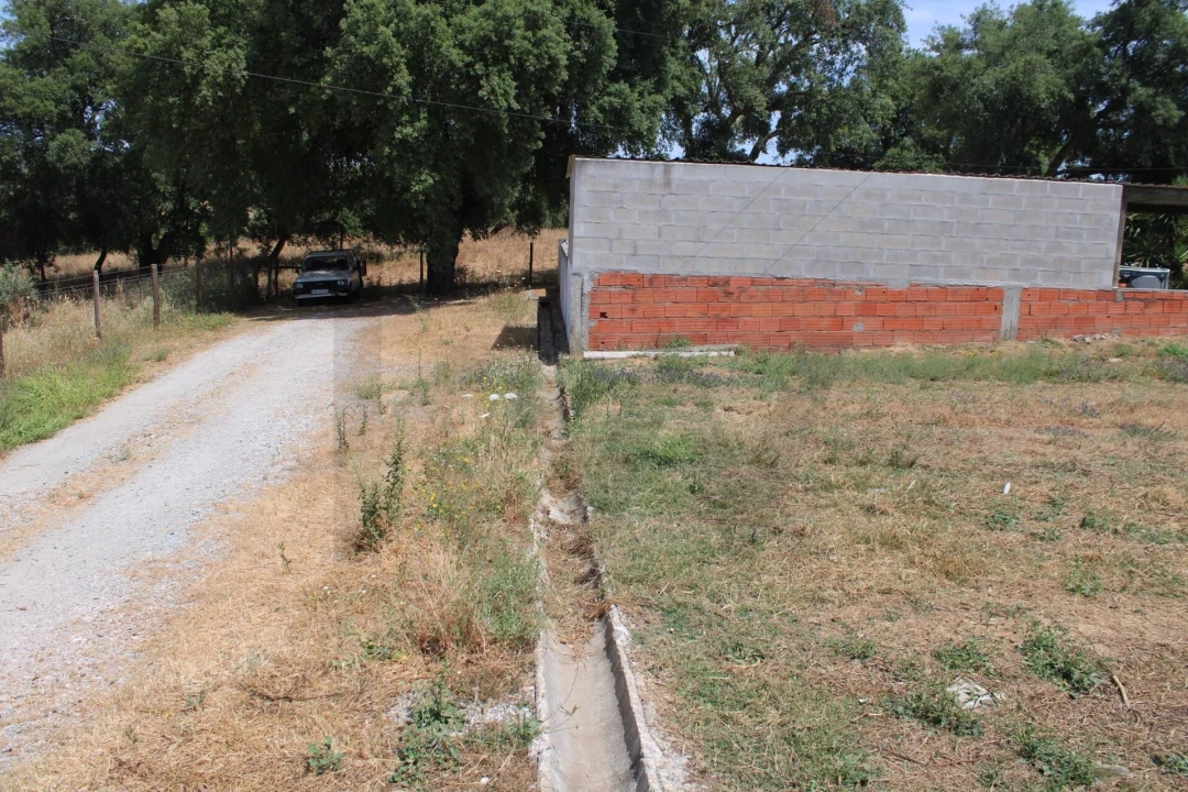 Terreno para Venda em São Manços e São Vicente do Pigeiro Foto 6