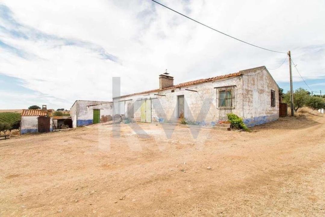 Quinta T3 para Venda em Vila de Frades Foto 14