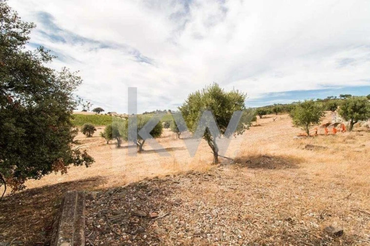 Quinta T3 para Venda em Vila de Frades Foto 11