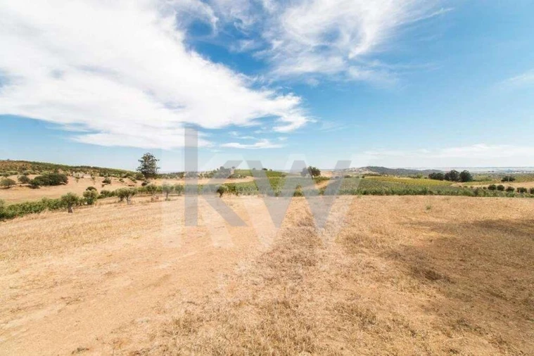 Quinta T3 para Venda em Vila de Frades Foto 8