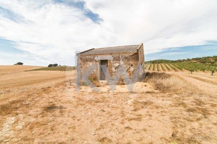 Quinta T3 para Venda em Vila de Frades Foto 15