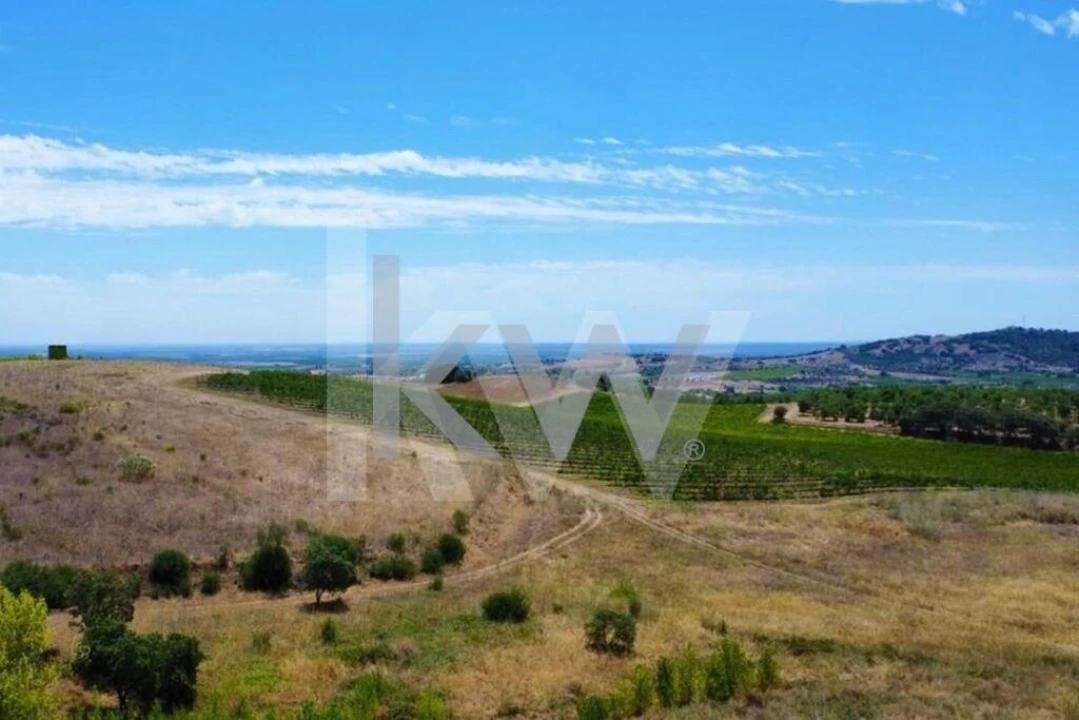 Quinta T3 para Venda em Vila de Frades Foto 6