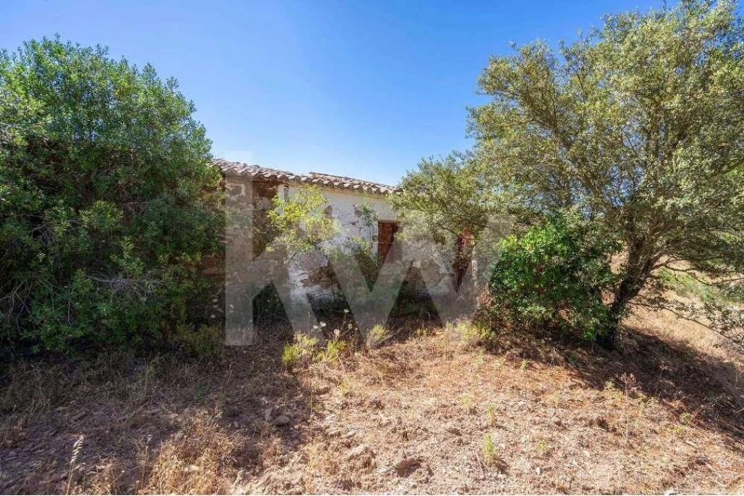 Quinta T5 para Venda em Cachopo Foto 27