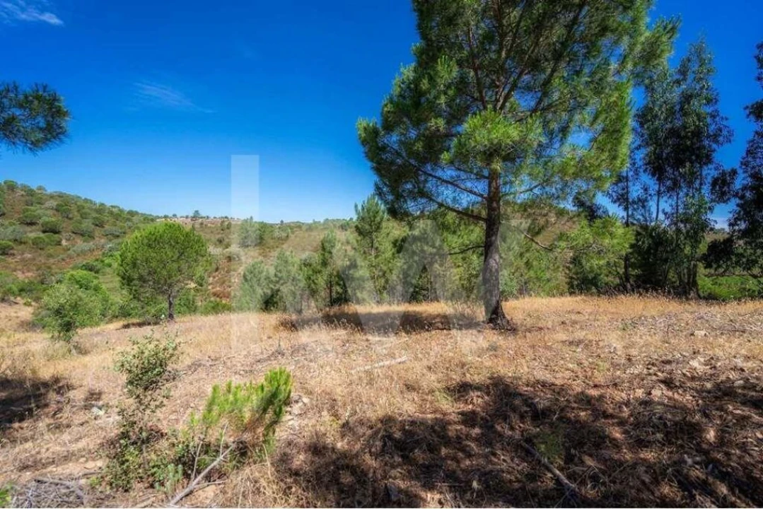 Quinta T5 para Venda em Cachopo Foto 25