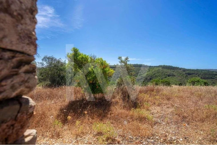 Quinta T5 para Venda em Cachopo Foto 22