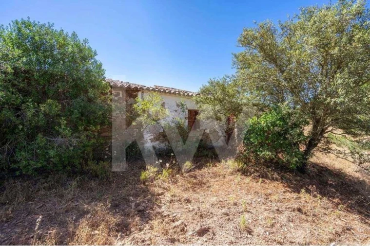 Quinta T5 para Venda em Cachopo Foto 27