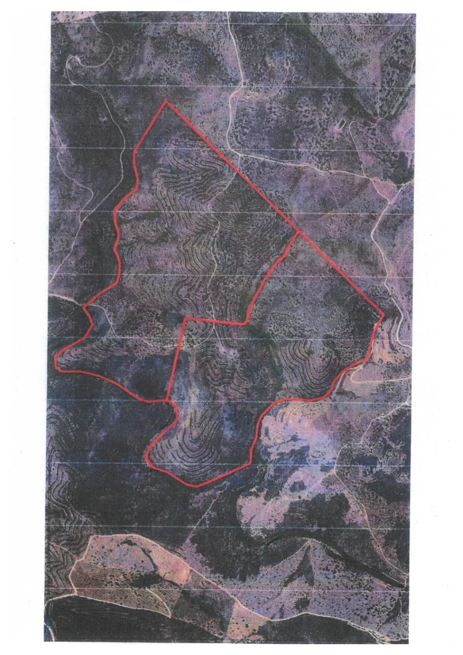 Quinta T5 para Venda em Cachopo Foto 43