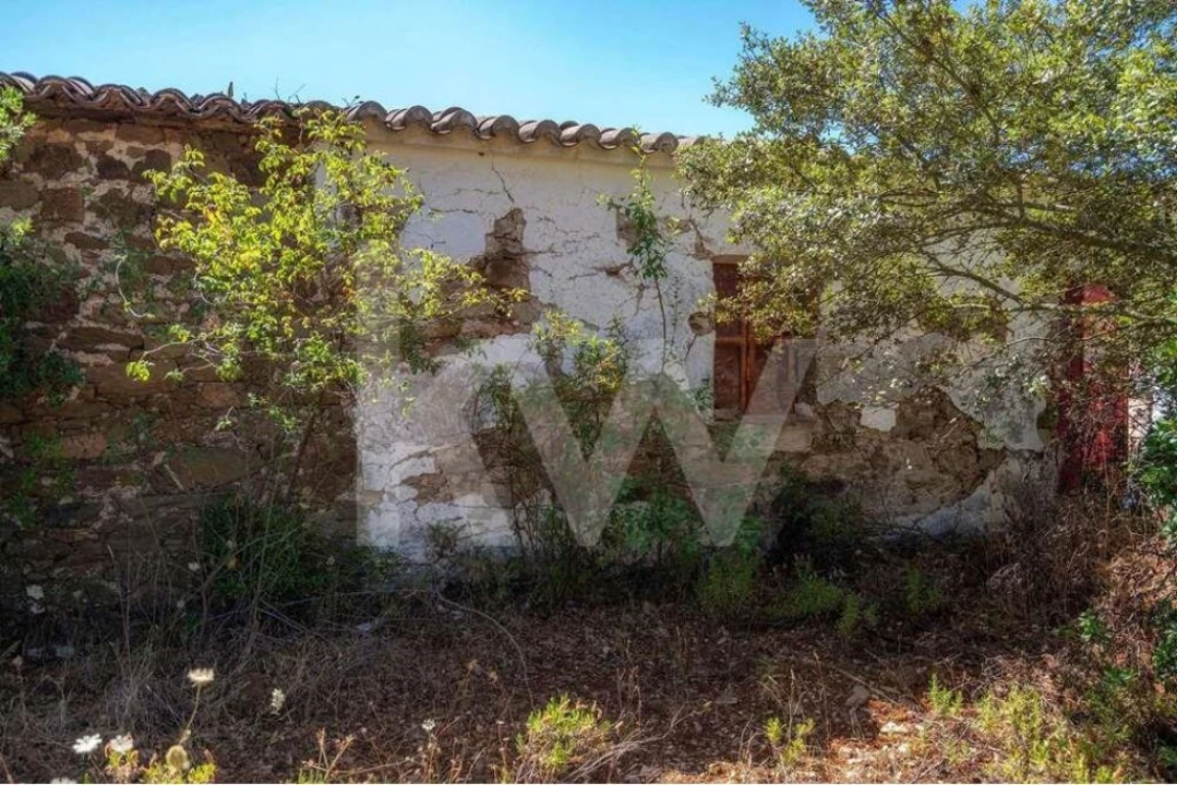 Quinta T5 para Venda em Cachopo Foto 28