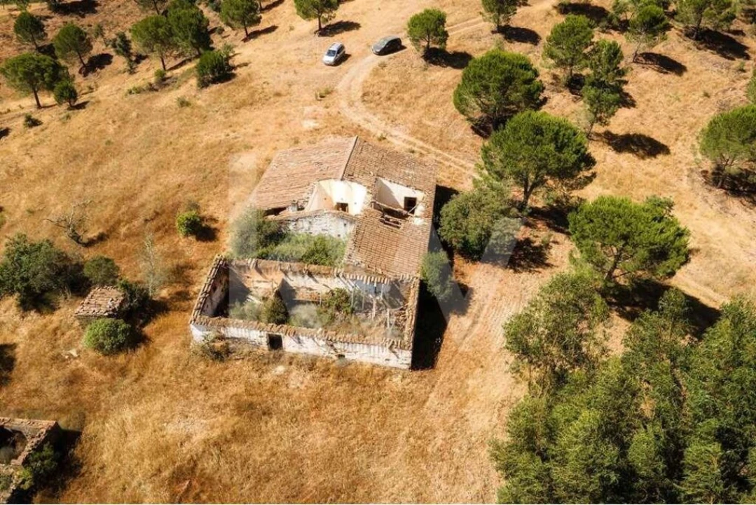 Quinta T5 para Venda em Cachopo Foto 4